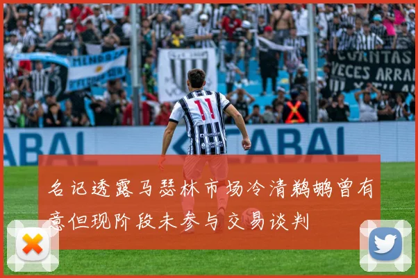 名记透露马瑟林市场冷清鹈鹕曾有意但现阶段未参与交易谈判